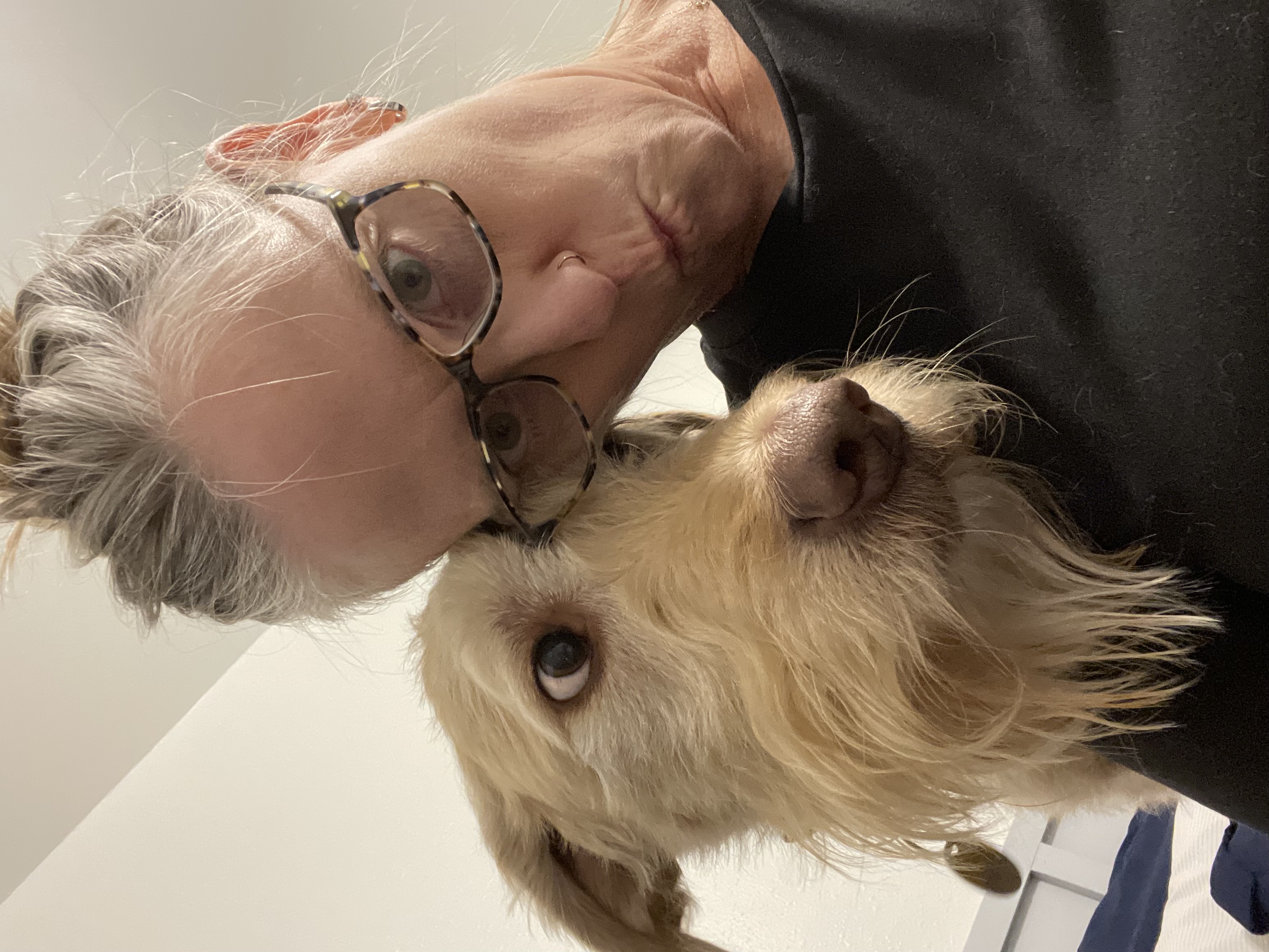 Do dogs look like their sitters?  Ernie thinks they might.