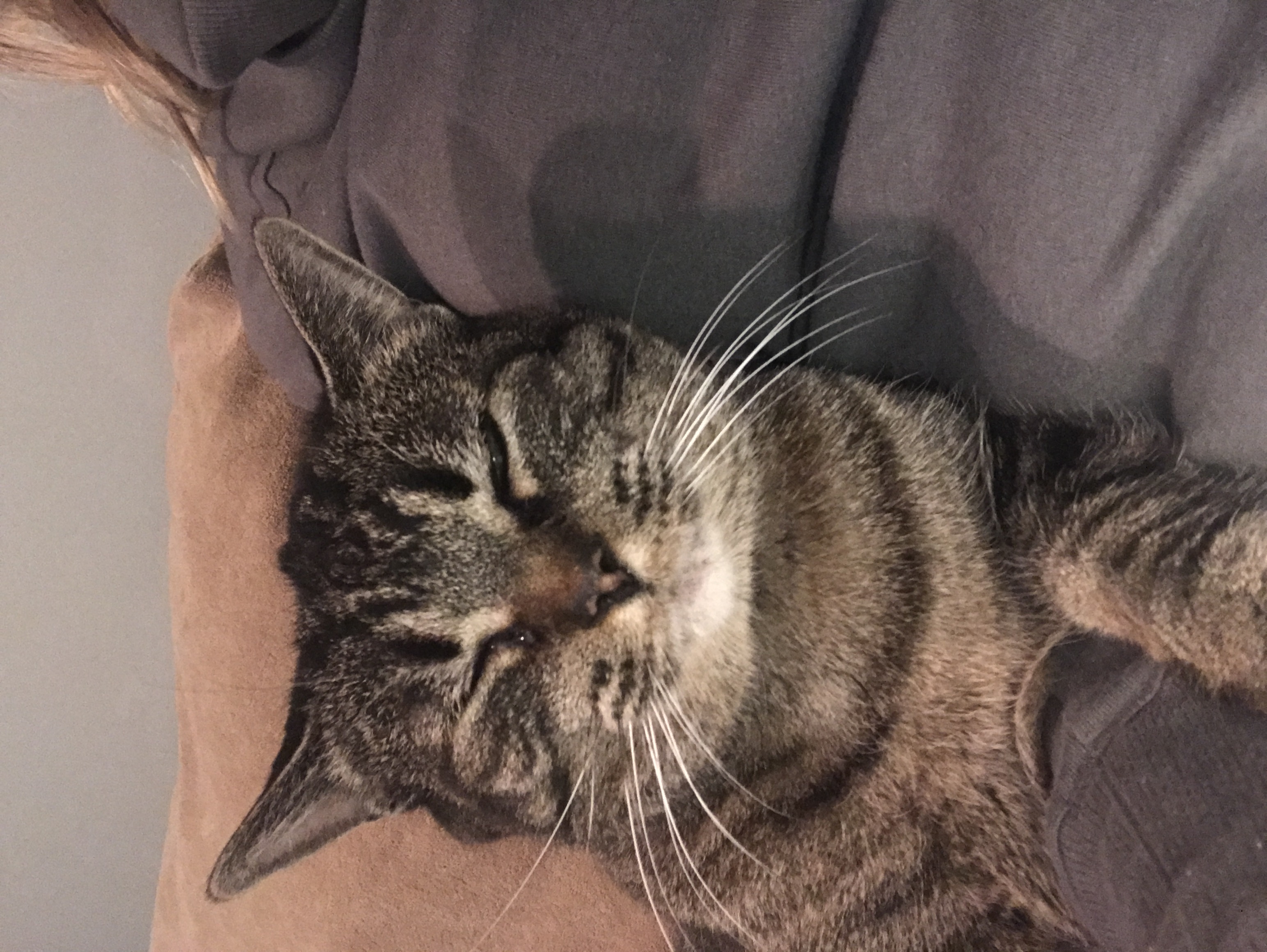 Nothing better than snuggle time.